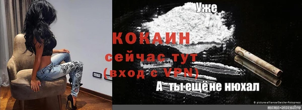 мдпв Костерёво
