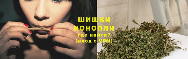 мдпв Корсаков