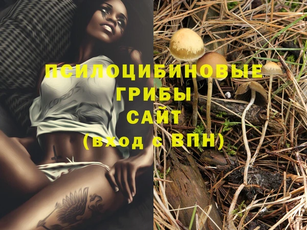 экстази Коряжма