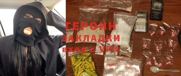 прущие грибы Каменногорск